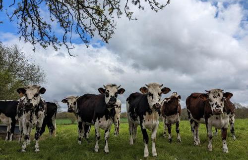 Un rêve à la mer - Foto 33