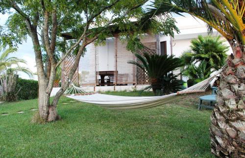 Vecchio Ulivo - Foto 22