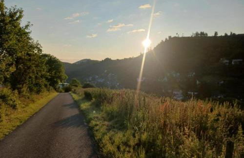 Ferienwohnung in der Nähe von Willingen - Foto 61
