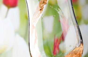 Weingut Schumann - Foto 20