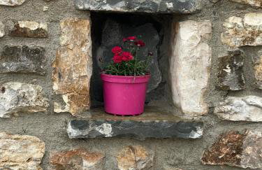 Sterna - Photo 3