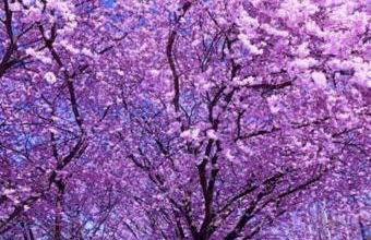 Ferienwohnung Bea´s Bergblick - Foto 30