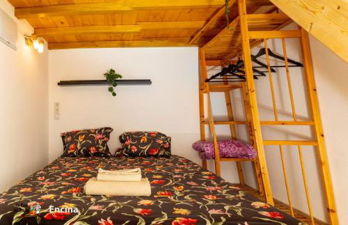 La Casa del Druida II - Foto 12