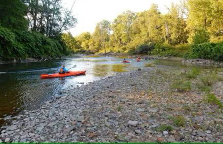 113 Madison Ave, Cuyahoga Falls - Foto 24