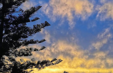 Surfers Hawaiian Holiday Apartments - Foto 14