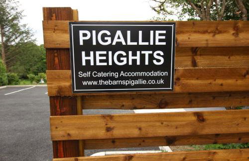 TwoPigalliie Heights - Photo 24