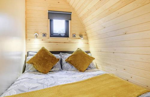 Coton - Ukc5324 - Photo 18