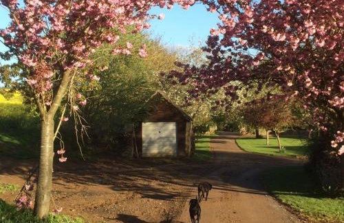 Nellies Barn - Foto 14