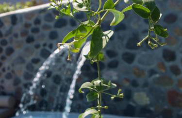 Casa di Mare Luxury Villas - Photo 14