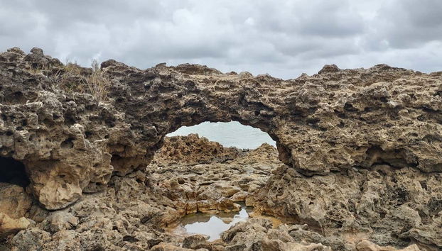 Buggy Tour Along the South Coast of Paraíba - Foto 5