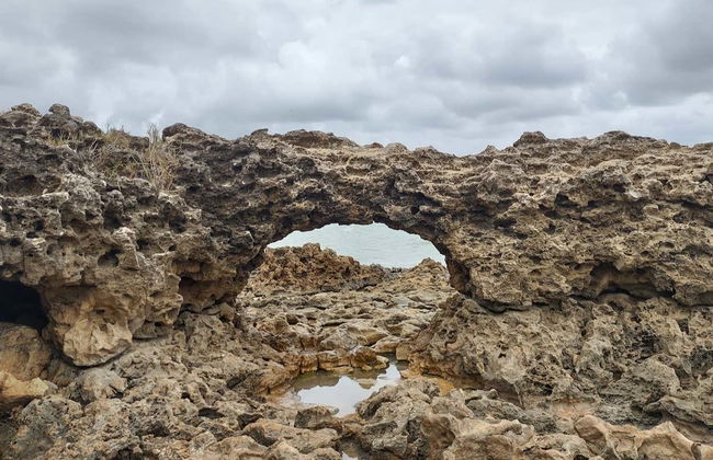 Tour della costa meridionale del Paraíba in buggy - Foto 5