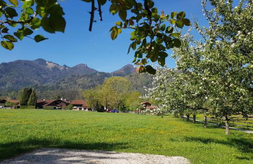 Ferienwohnung Schreiner-Viehhausen - Foto 14