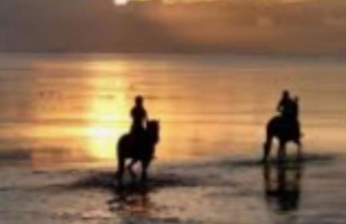 Villa Nicole - LUMINOSO APPARTAMENTO - Foto 33