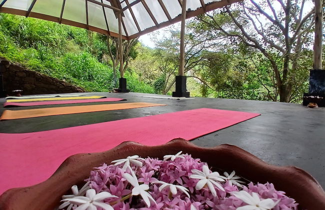 Ella Retreat Hotel - Photo 67