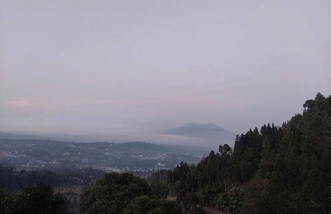 Villa Zoya Montana - Foto 42