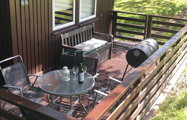 Nuthatch Lodge is set in 24 Acres of Wood, Parkland Near the Village of Cenarth - Photo 20