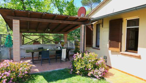 Chalet Elena in Montescudaio, ground floor with fenced garden - Foto 4, Garden