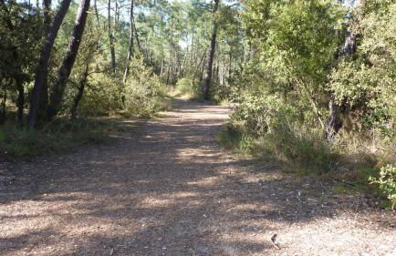 Auxmouettes GV2 - Foto 26