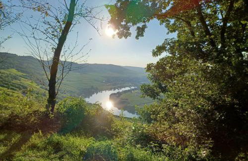 Ferienhaus Elisa - Foto 33