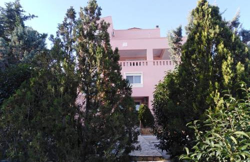 Treasures B&B - Foto 42