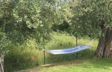 Le Coccole Del Trasimeno - Foto 68