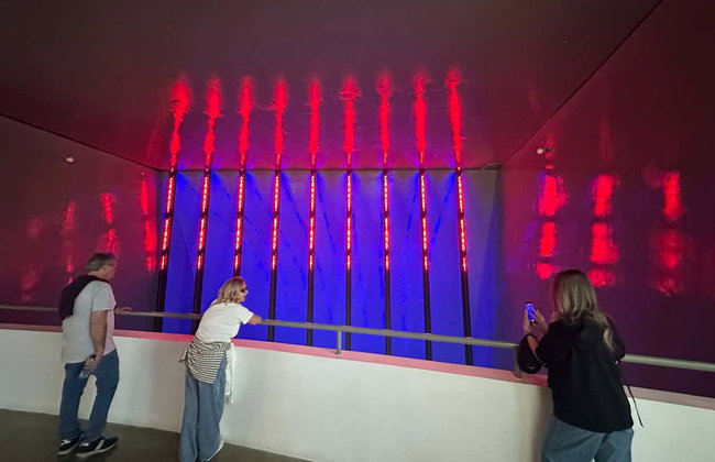 Visite guidée du musée Guggenheim de Bilbao - Foto 4