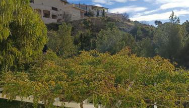 Studio indépendant terrasse entre mer et collines - Foto 4