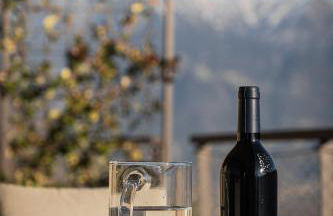 Gruberhof Lana - NEW! - Photo 37