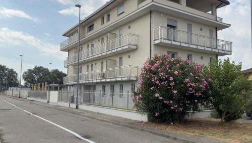 Salix Aurea - Foto 5