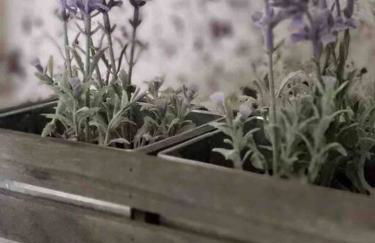 LOCATION! Apartment in Coconut Grove with parking - Foto 14