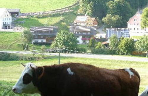 Haus Pfaff - Photo 10