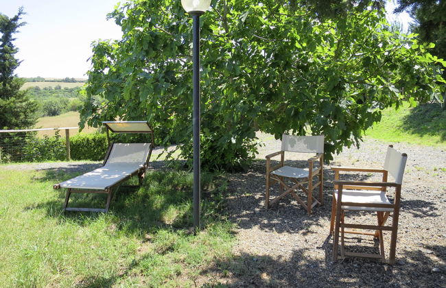 Le Colmate - Foto 19