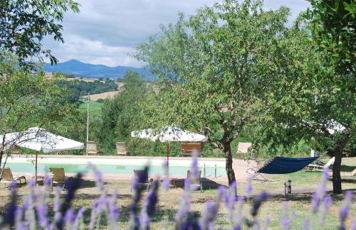 Agriturismo Le Torri di Porsenna - Photo 11