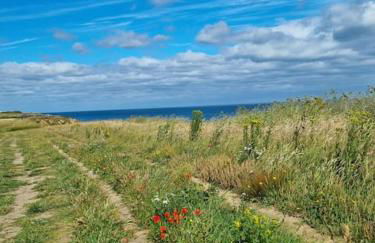 Spectacular sea view, walk to beach, pubs & cafes - Foto 22