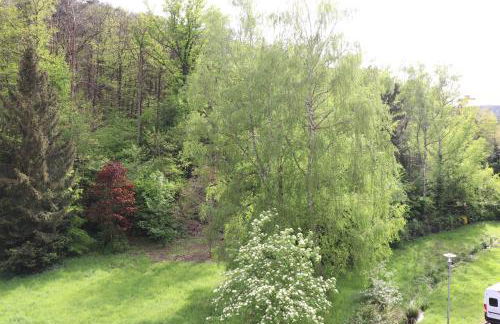 Residenz Waldblick 5 STERNE Penthouse-Ferienwohnung Klassifizierung DTV - Foto 34