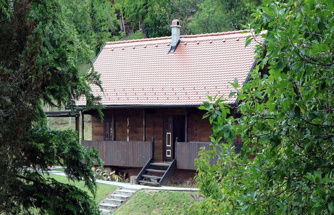 Tradicionalna Zagorska Drvena Kuća Stara Murva - Foto 20