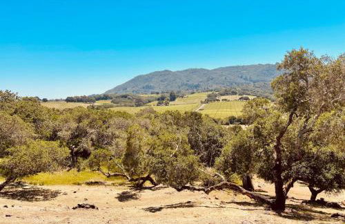 Casa Molino - A private escape with Vineyard views - Foto 19