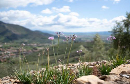 Podere del Pari - Foto 80