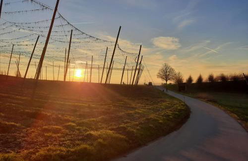 Am Dorfweiher - Foto 17