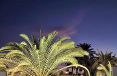 Casa Africa - Photo 60