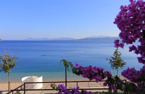 Apartments by the sea Igrane, Makarska - 6653 - Photo 30