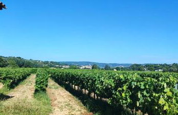 l'éden des Baronnies gîte1 - Foto 15