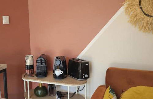 Nid confort proche du canal du midi 2 terrasses Labège - Foto 27