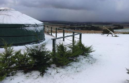 Green Yurt with Hot Tub - Sleeps 3 Parking & Pets - Photo 25