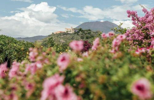 Villa Aura - Photo 34