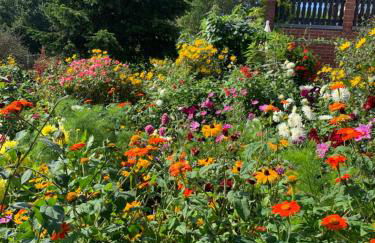 Pilars Fischwerk - Foto 20