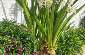 Seagull Apartments Bari Sea & Airport - Foto 52