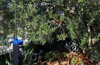 Apartments by the sea Stomorska, Solta - 11298 - Foto 12