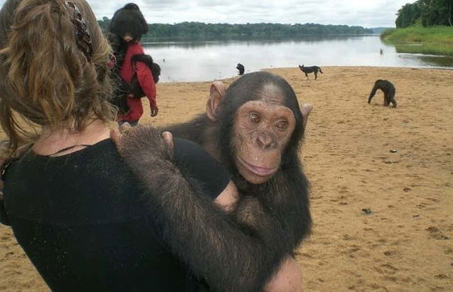 Excursion dans la réserve de Pongo-Songo - Photo 2
