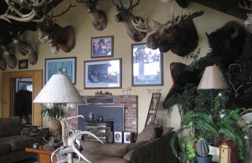 Whitebird Summit Lodge - Foto 23